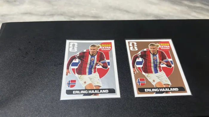 Halland Prata e Bronze