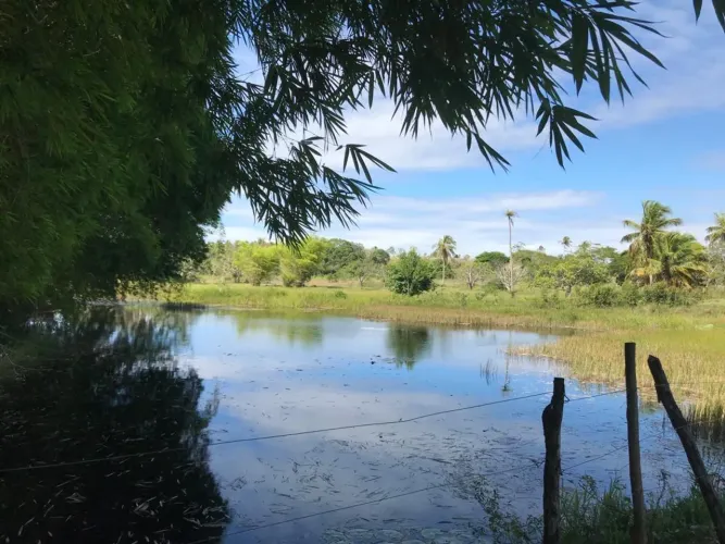 Oportunidade em São José de Mipibu 195 Hectares!