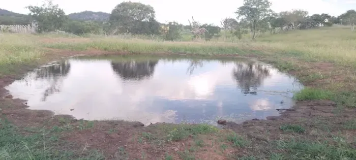 Excelente oportunidade de comprar sua fazenda de 90 t, às margens da BR 324 N