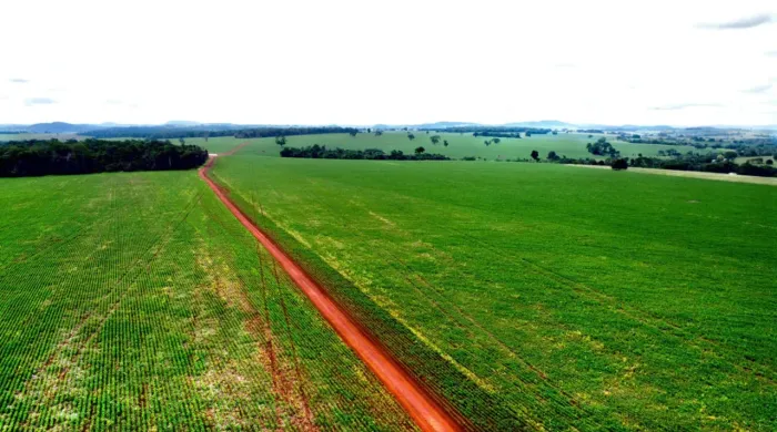Fazenda de 165 alqueires em  Anicuns Go 