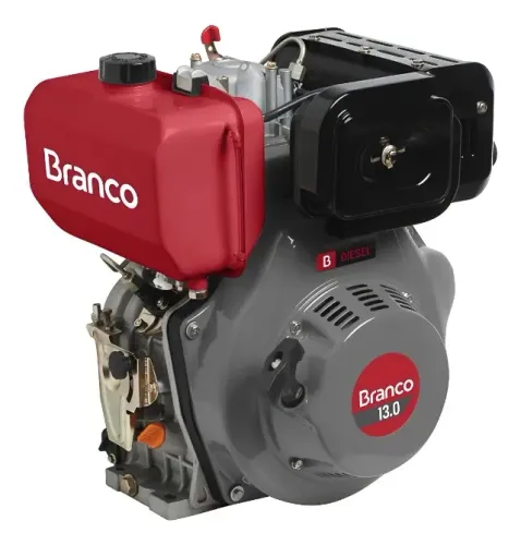 Motor Diesel Bd13.0 13cv Com Partida Eletrica Branco Motores