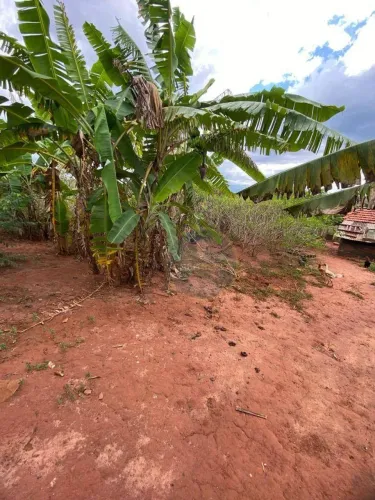 OPORTUNIDADE CHÁCARA ITUIUTABA