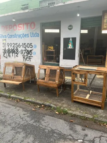 3 viveiro na promoção