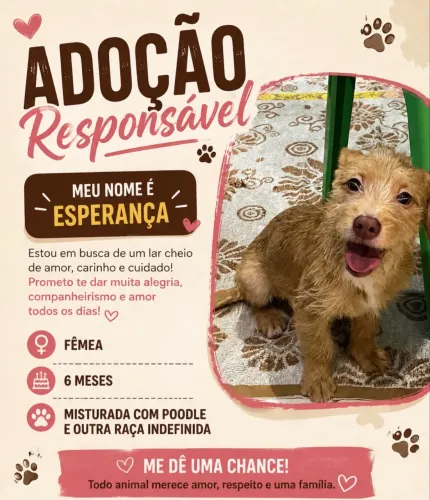Doação