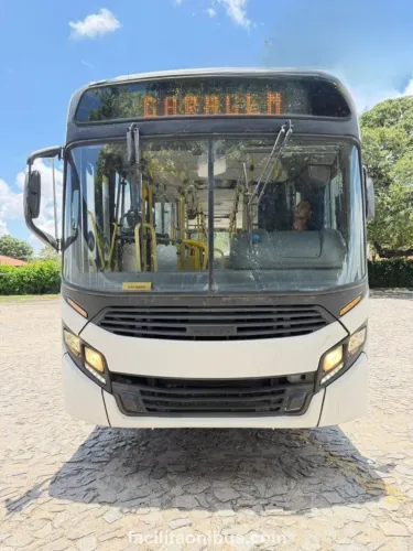 Caio Apache Vip / Mercedes-Benz OF 1519 - 2017