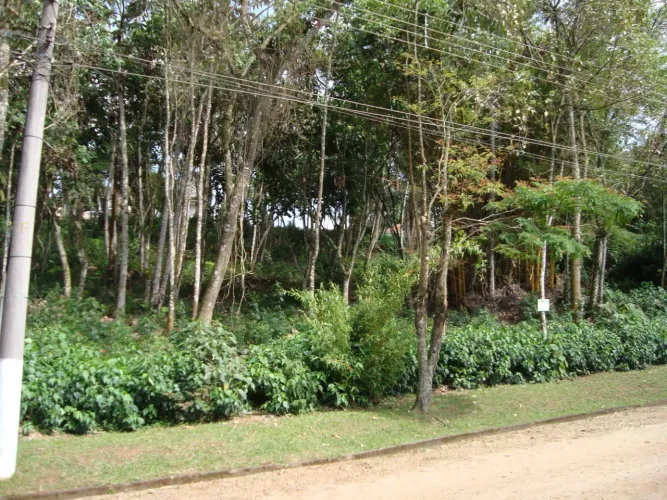 Excelentes terrenos em cond. Chacara Colinas Verdes - px ao Arujá Golf Clube e Nippon Coun