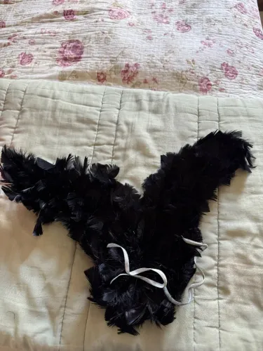 Asa preta fantasia