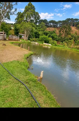 CHÁCARA À VENDA  RIO BONITO / TAQUARI | CAMPINA GRANDE DO SUL/PR REF: 1810