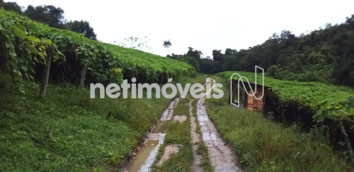 Sítio à Venda em Iguape | 24,2 hectares | Excelente Oportunidade para Moradia ou Produção