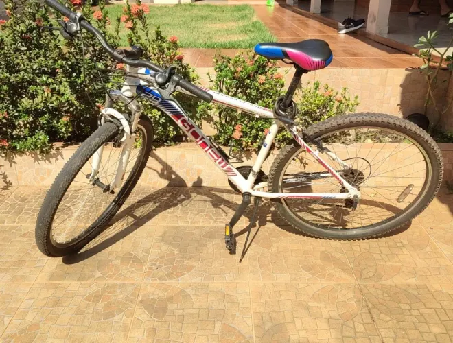 Bicicleta