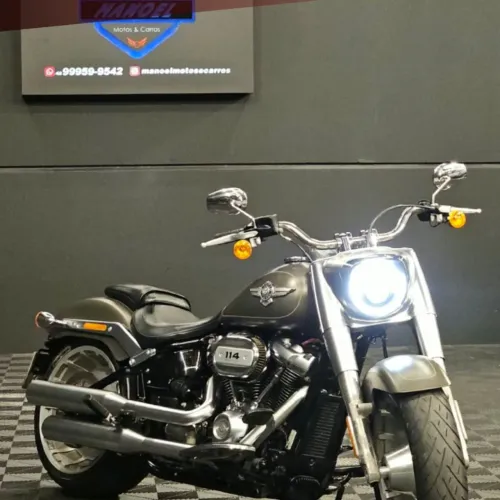 FAT BOY FLFBS 2019 Cinza