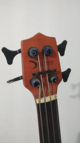 Vertical BASS D'ALEGRIA Discovery ( upright )