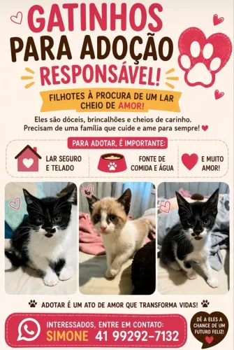 Gatinhos para adoção