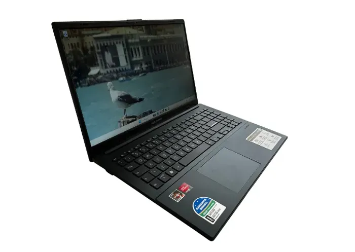 Notebook Asus Vivobook Go 15 AMD Ryzen 5 8gb RAM 512gb SSD 11 Windows Home 15,6"