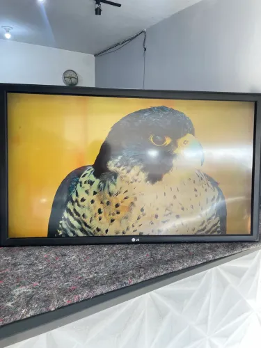 Monitor LG 42 Polegadas aceito ofertas