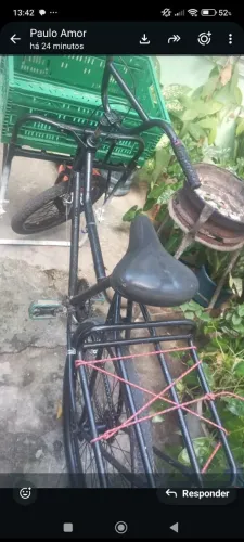 Bicicleta cargueira 