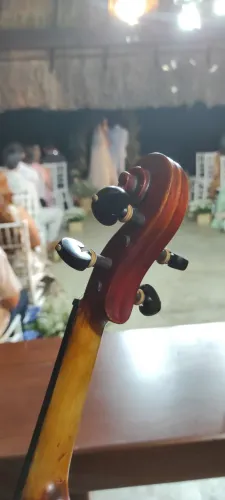 Violino | Violinista