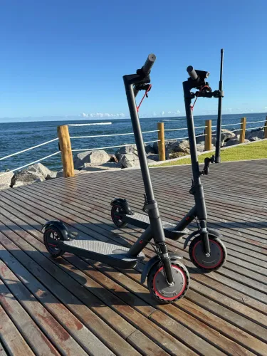 Patinete Elétrico 500w com amortecedor