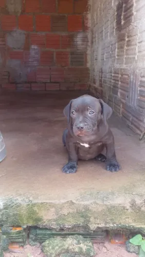Pra vende 
