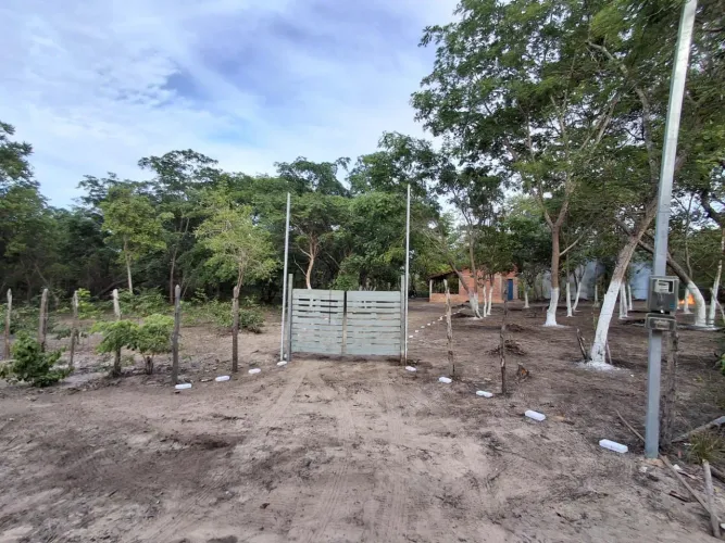 Sítio Com Casa 