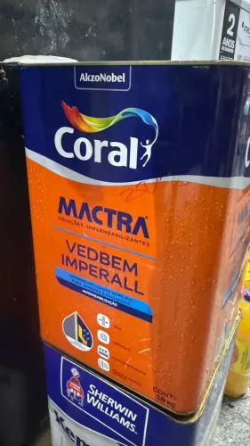 Tinta emborrachada mactra coral
