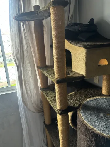 Arranhador gato 3 itens 