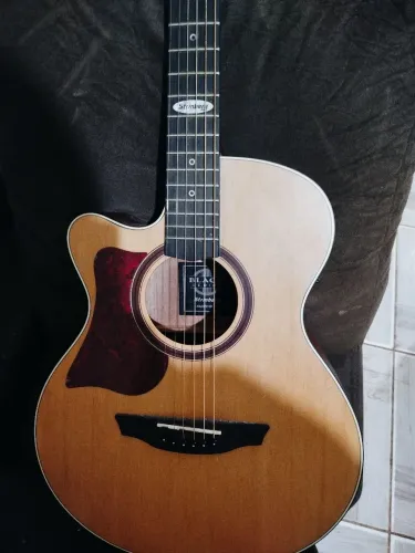 Violão elétrico Stringberg (acompanha capa)