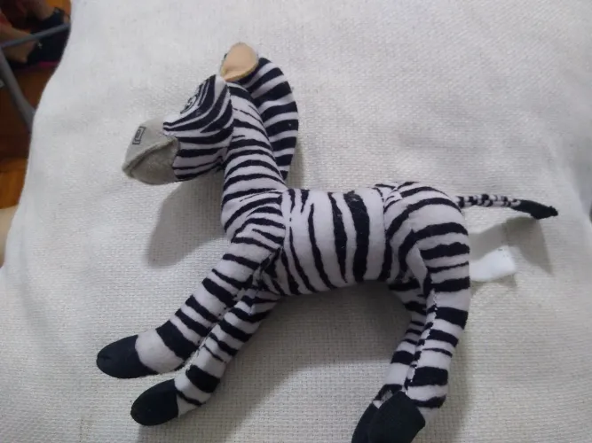 Marty zebra Madagascar (C)