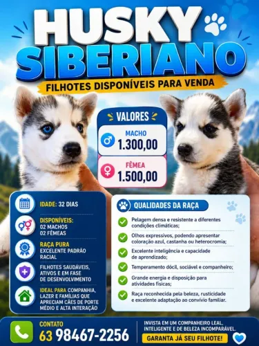 Filhotes