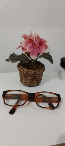 Óculos estilo oncinha de acetato para grau Rayban primeira linha