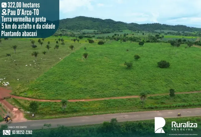 Fazenda 322 ha em Pau dArco TO | Região Safra e Safrinha | Área Plana