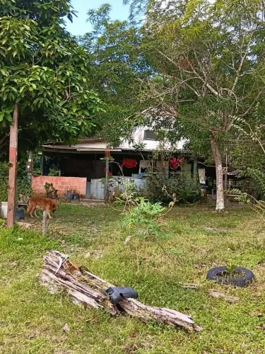 Sitio