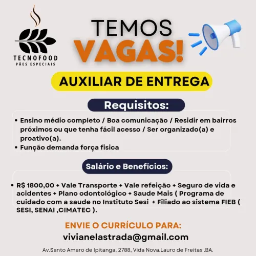Auxiliar de Entrega