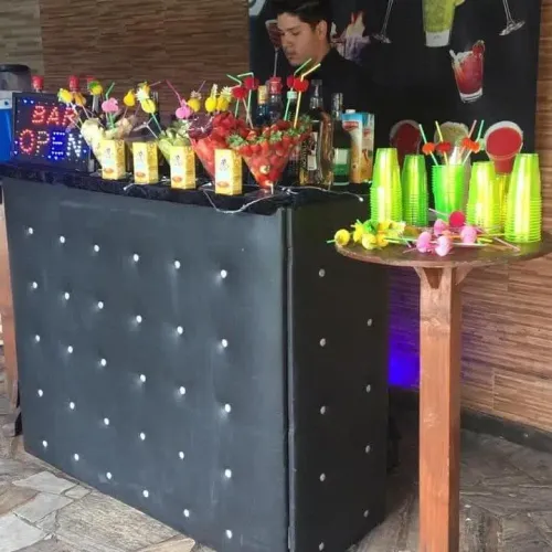Barman Zona sul Rj