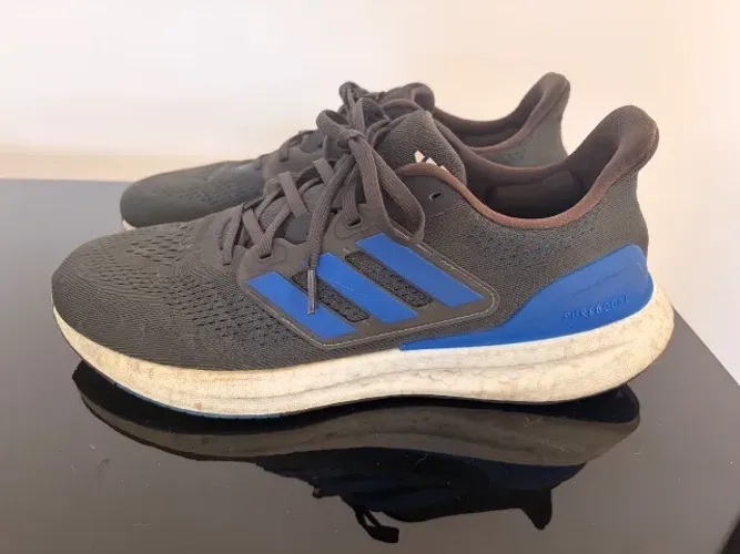 Adidas pureboost 43