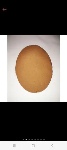 Cisto de artemia salinas 100g