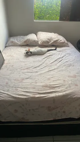 Cama de casal
