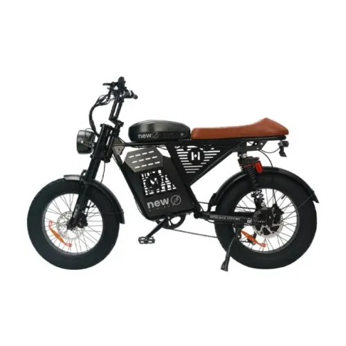 BICICLETA ELÉTRICA JSL 1000W ? BATERIA DE LITIO