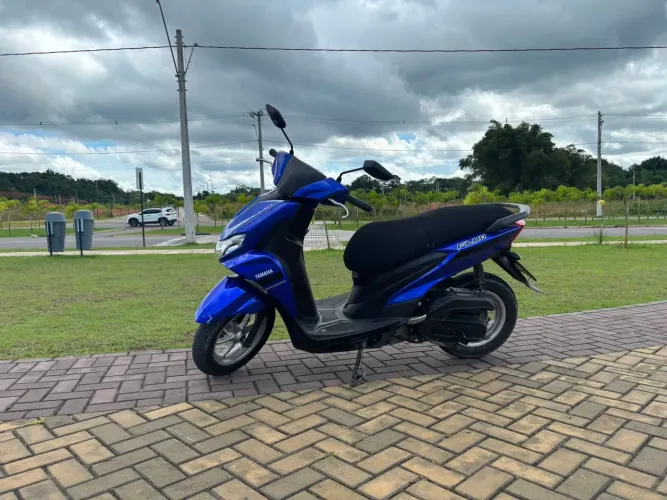 Yamaha fluo 2023