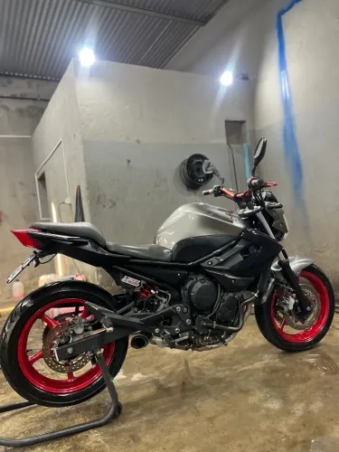 XJ6 2019 CINZA