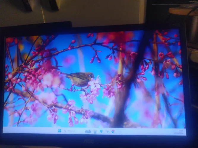 Monitor 19 polegadas AOC com hdmi