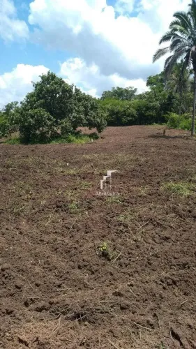 Terreno à venda, 5 m² por R$ 65.000,00 - Centro - Timon/MA