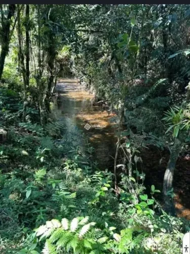 Lote à venda na Serra da Bocaina - Bananal/SP