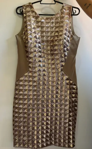 Vestido de Festa - Regina Salomão