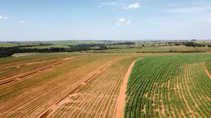 Area de terra em Sandovalina, com 60,624 hectares - Arrendada Cana