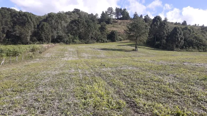 Vendo mais de 1 alqueire pelo preço de um lote 