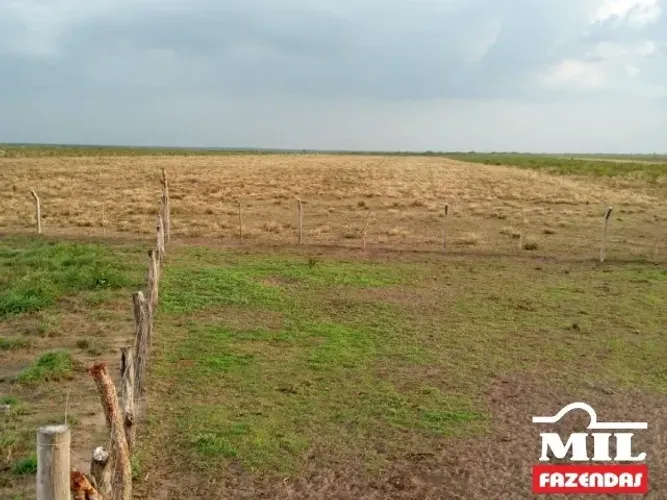 Fazenda 2.440 Alq. (11.810 Há). Norte do Maranhão. [ Dupla - Aptidão ]