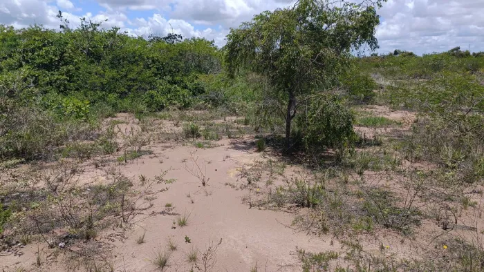 Terreno 2.000m² em Pureza.