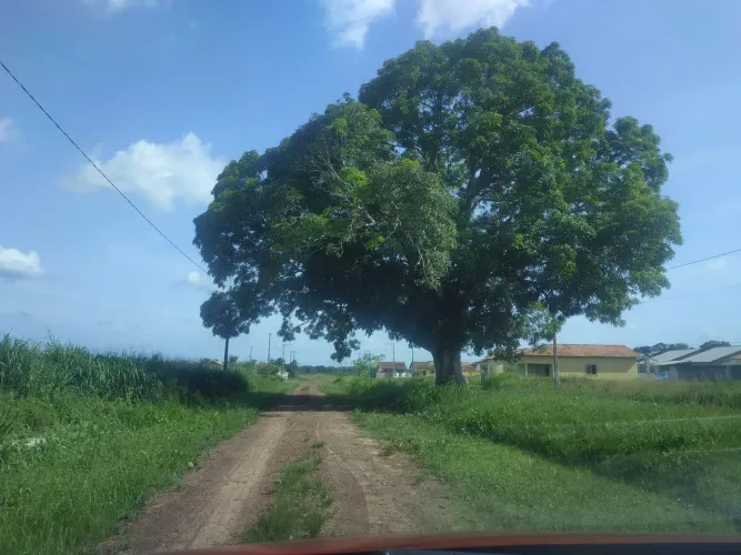 Terrenos lotes São Francisco do Pará