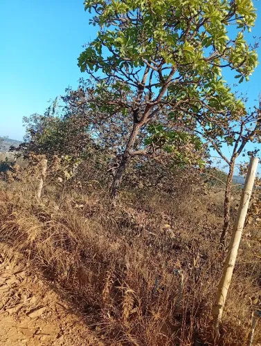 Cachoeira do choro(lote)
